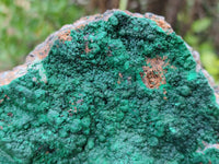 Natural Botryoidal Malachite Specimens x 2 From Tenke Fungurume, Congo - Toprock Gemstones and Minerals 