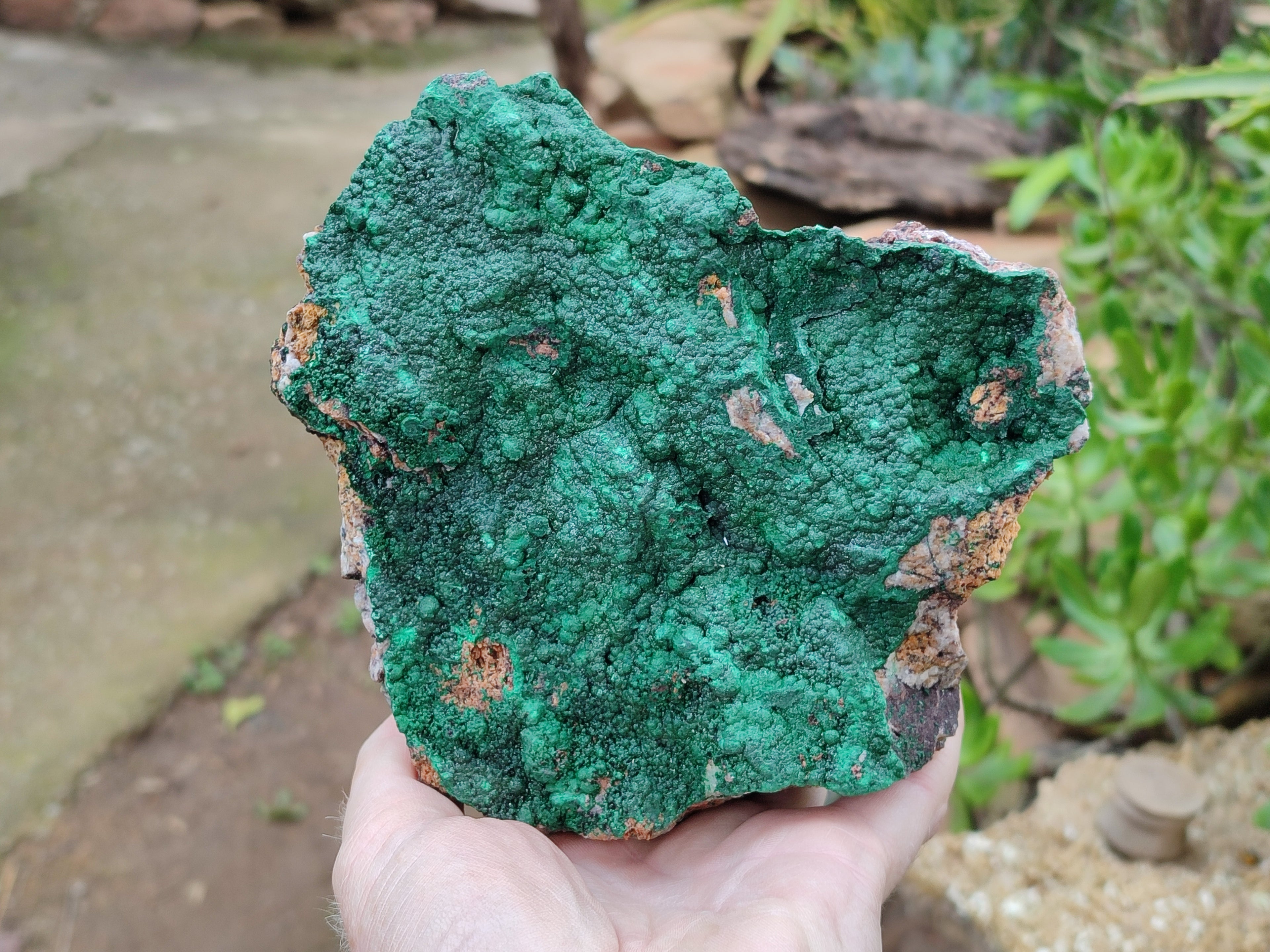 Natural Botryoidal Malachite Specimens x 2 From Tenke Fungurume, Congo - Toprock Gemstones and Minerals 