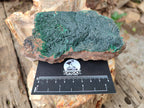 Natural Botryoidal Malachite Specimens x 2 From Tenke Fungurume, Congo - Toprock Gemstones and Minerals 