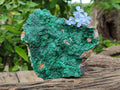 Natural Botryoidal Malachite Specimens x 2 From Tenke Fungurume, Congo - Toprock Gemstones and Minerals 