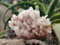 Natural Quartz Clusters and Crystals x 11 From Madagascar - Toprock Gemstones and Minerals 
