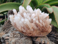 Natural Quartz Clusters and Crystals x 11 From Madagascar - Toprock Gemstones and Minerals 