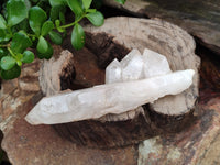 Natural Quartz Clusters and Crystals x 11 From Madagascar - Toprock Gemstones and Minerals 