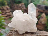 Natural Quartz Clusters and Crystals x 11 From Madagascar - Toprock Gemstones and Minerals 