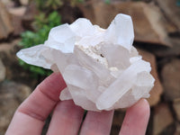 Natural Quartz Clusters and Crystals x 11 From Madagascar - Toprock Gemstones and Minerals 