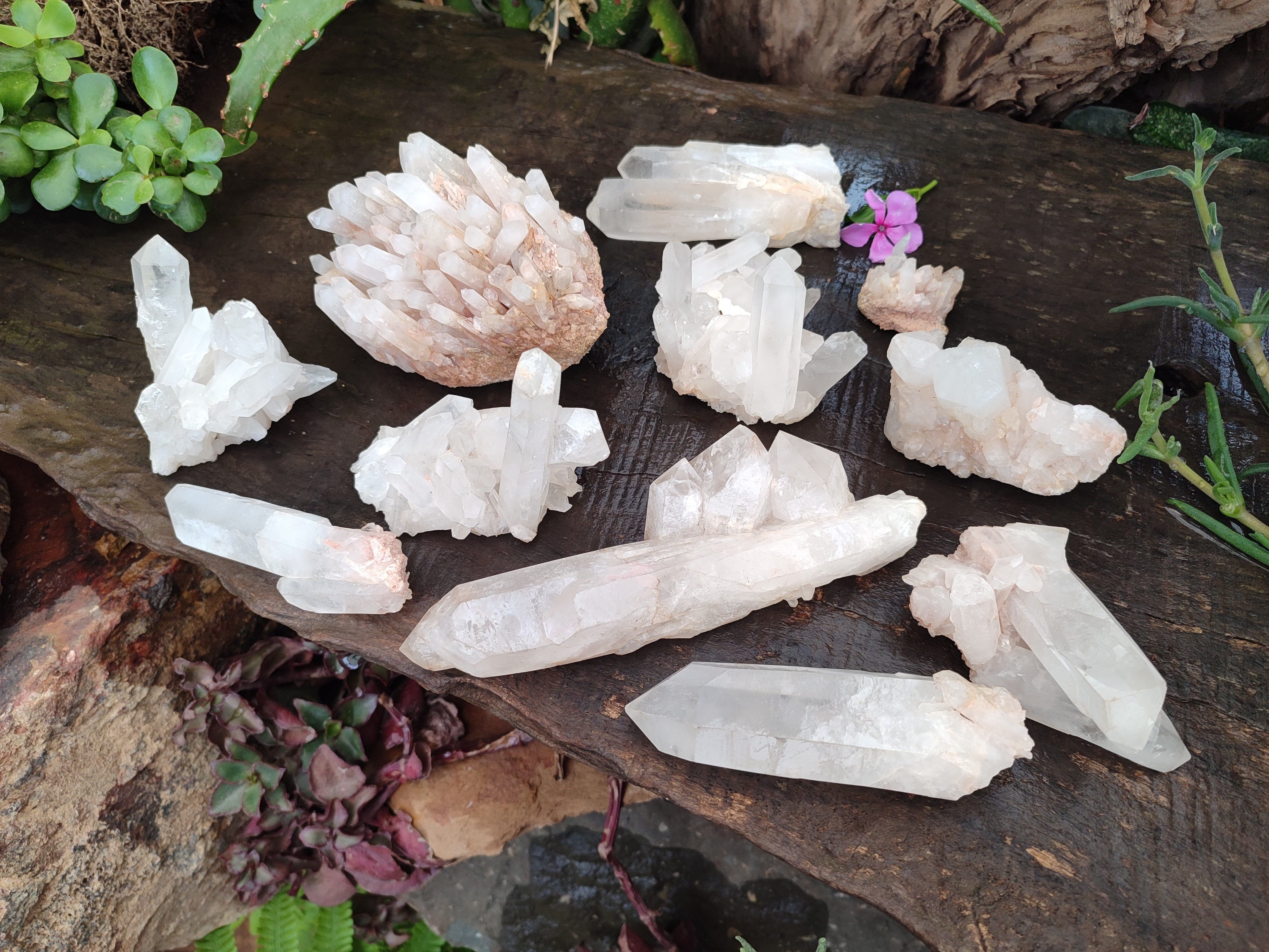 Natural Quartz Clusters and Crystals x 11 From Madagascar - Toprock Gemstones and Minerals 