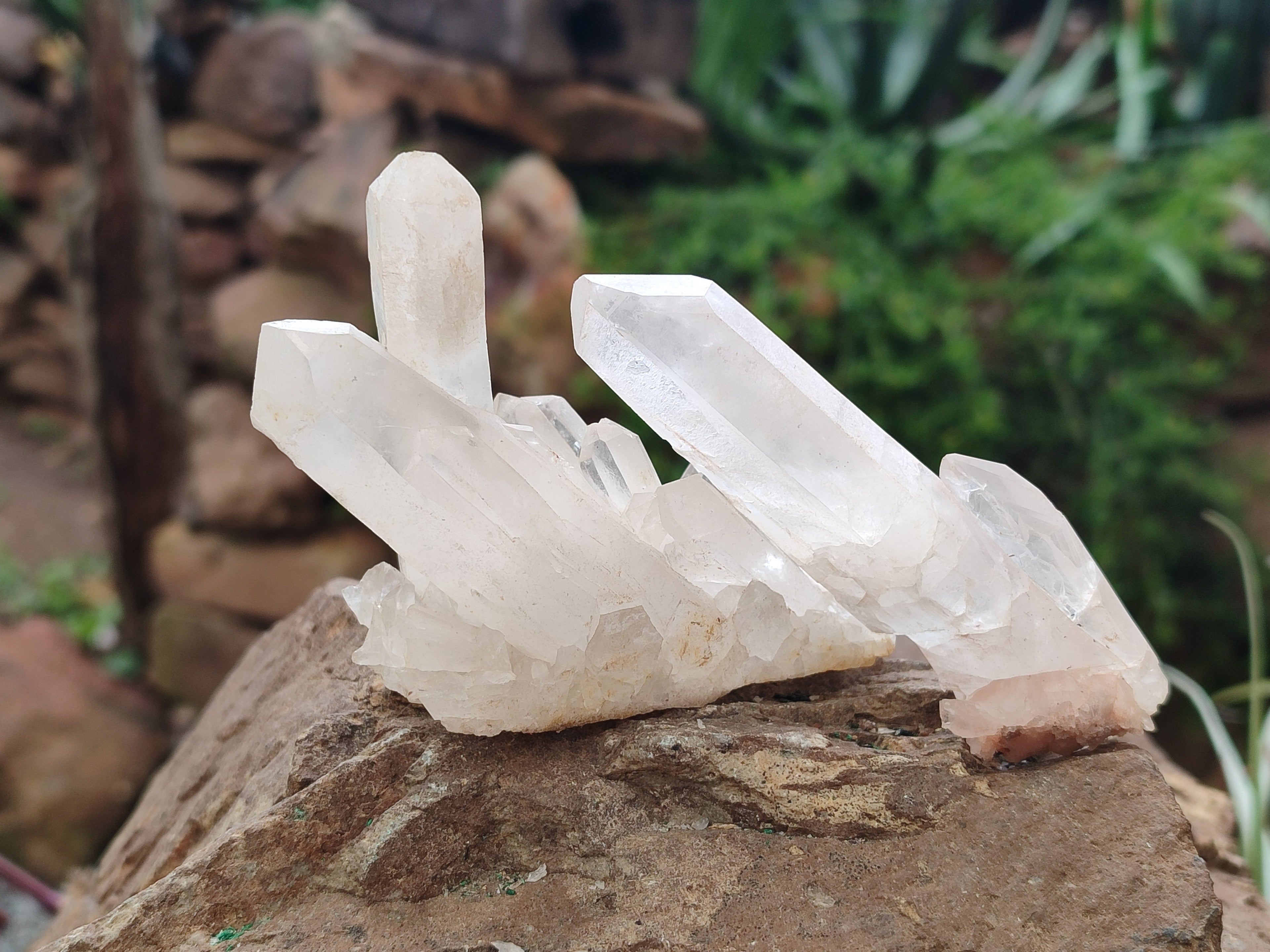 Natural Quartz Clusters and Crystals x 11 From Madagascar - Toprock Gemstones and Minerals 