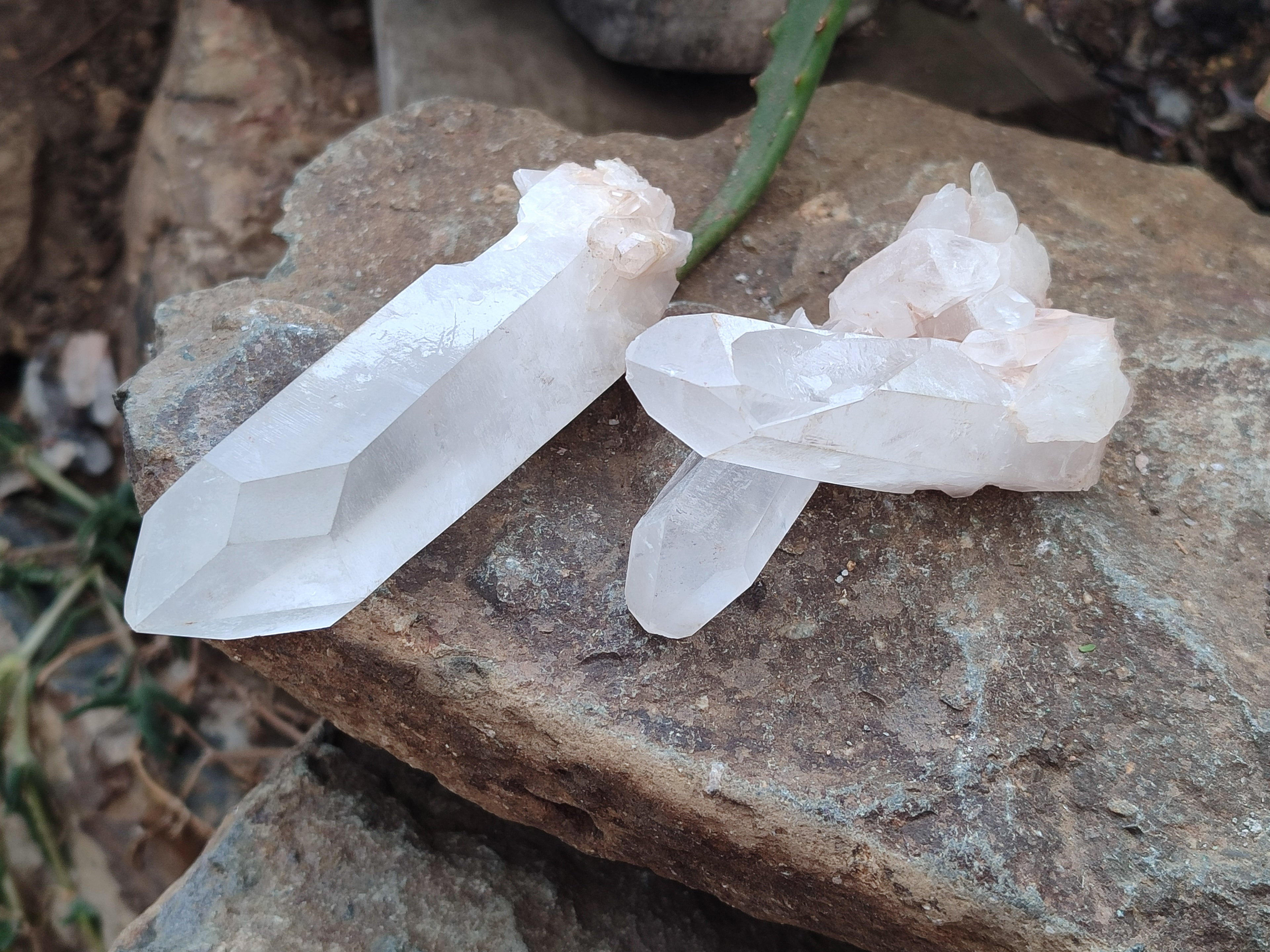 Natural Quartz Clusters and Crystals x 11 From Madagascar - Toprock Gemstones and Minerals 