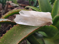 Natural Quartz Clusters and Crystals x 11 From Madagascar - Toprock Gemstones and Minerals 