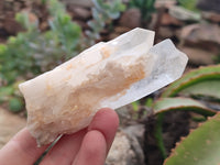 Natural Quartz Clusters and Crystals x 11 From Madagascar - Toprock Gemstones and Minerals 