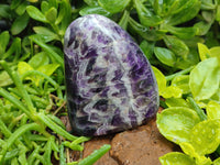 Polished Chevron Amethyst Standing Free Forms x 2 from Zambia