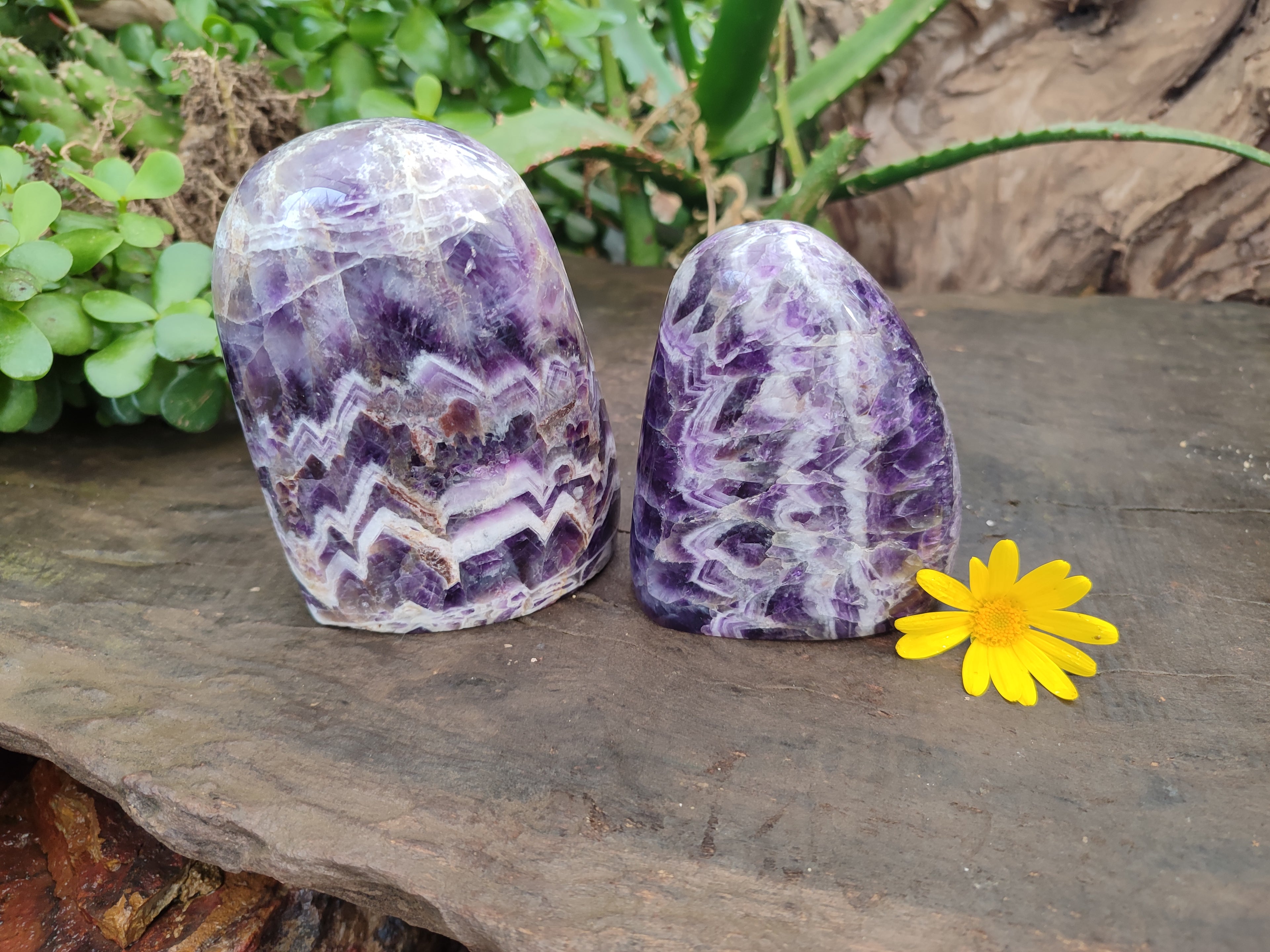 Polished Chevron Amethyst Standing Free Forms x 2 from Zambia - Toprock Gemstones and Minerals 
