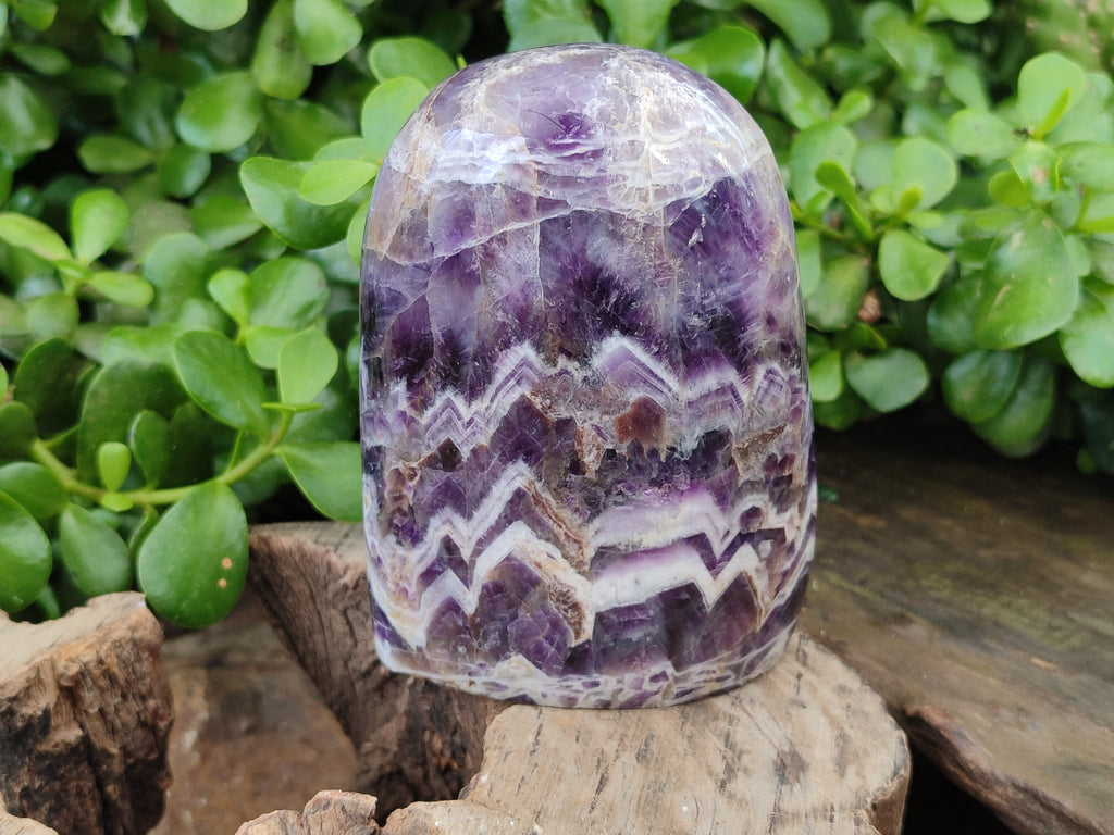 Polished Chevron Amethyst Standing Free Forms x 2 from Zambia - Toprock Gemstones and Minerals 