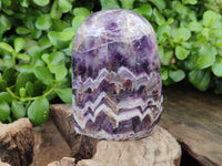 Polished Chevron Amethyst Standing Free Forms x 2 from Zambia
