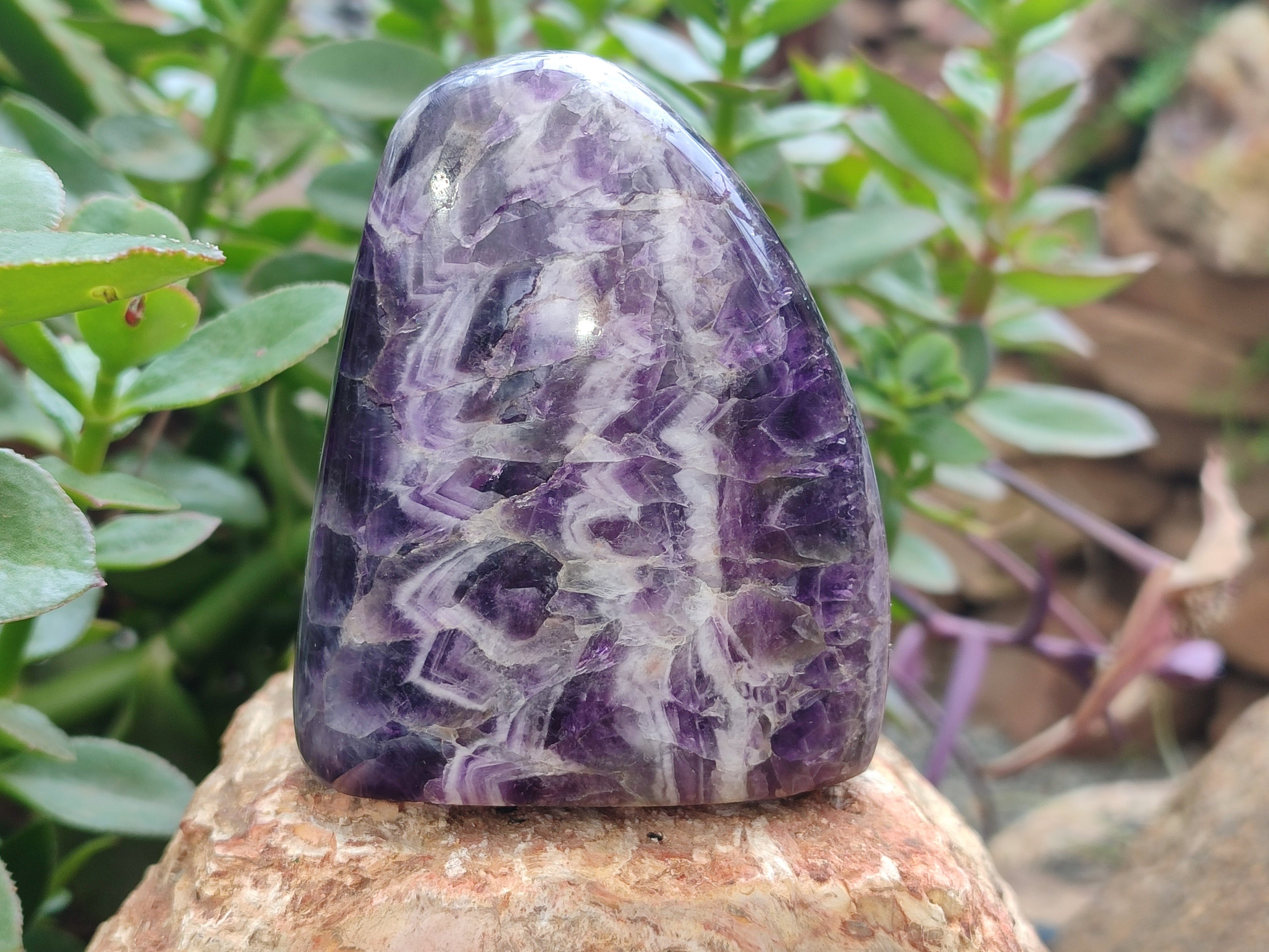 Polished Chevron Amethyst Standing Free Forms x 2 from Zambia - Toprock Gemstones and Minerals 