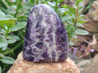 Polished Chevron Amethyst Standing Free Forms x 2 from Zambia