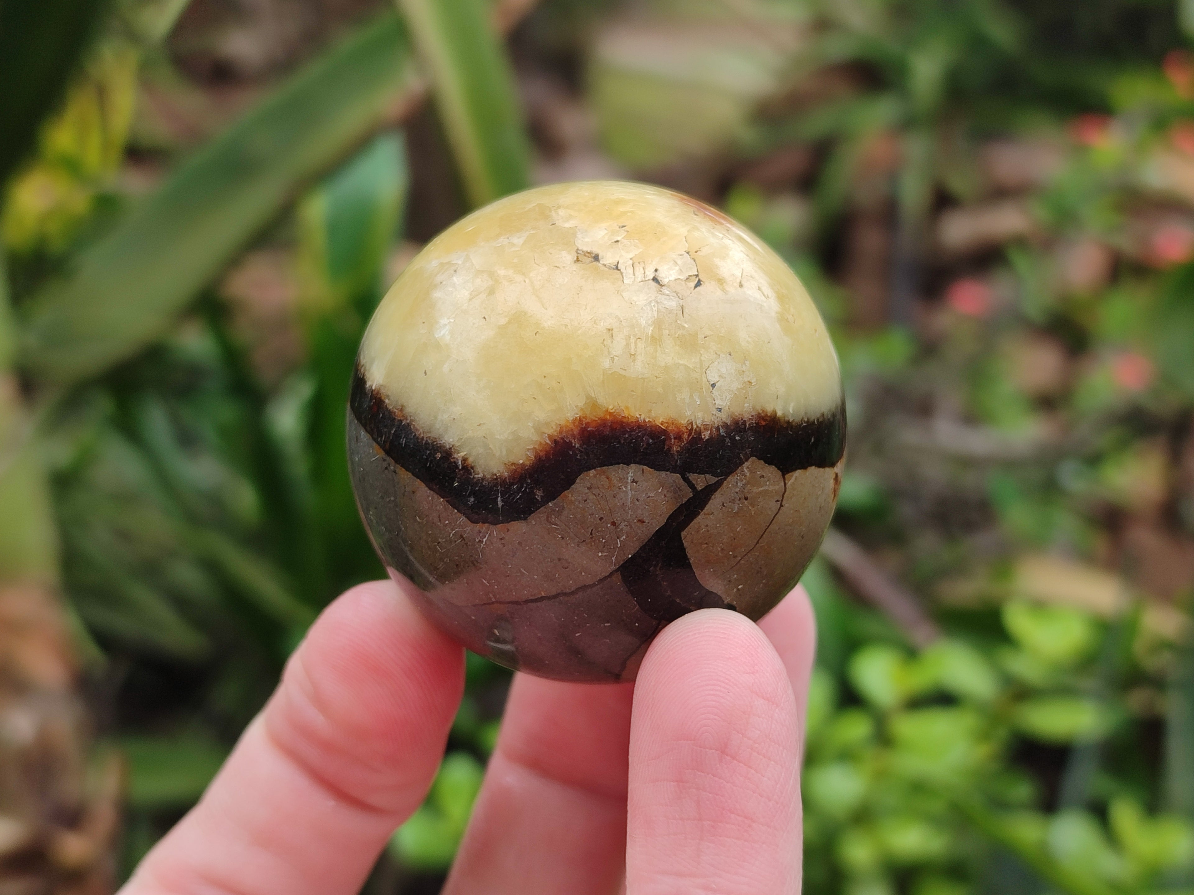 Polished Septerye Spheres x 6 From Mahajanga, Madagascar - Toprock Gemstones and Minerals 