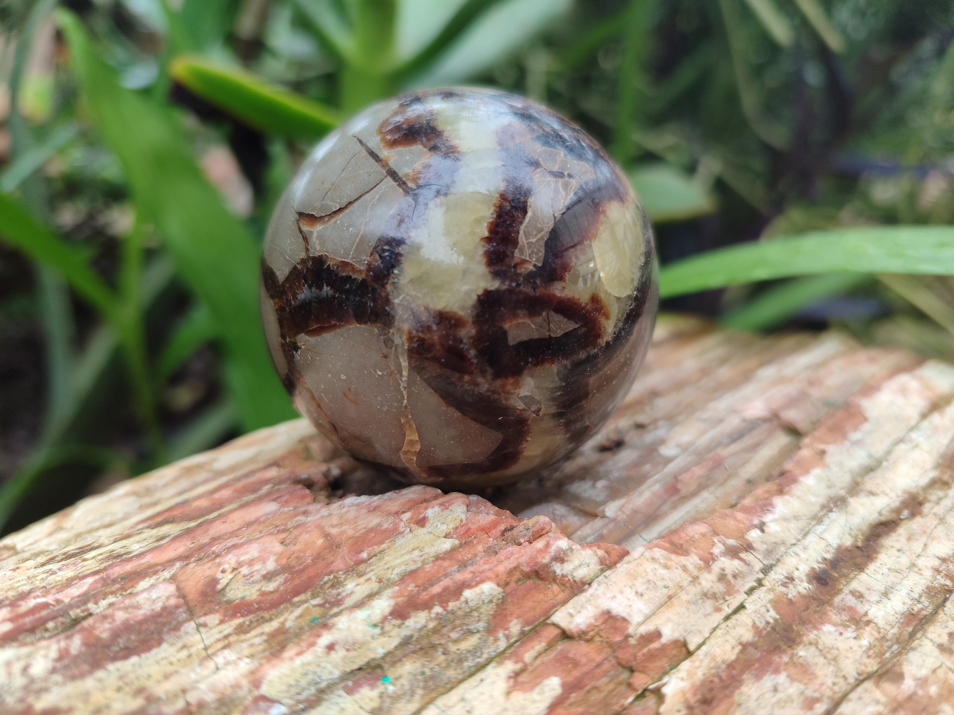 Polished Septerye Spheres x 6 From Mahajanga, Madagascar - Toprock Gemstones and Minerals 