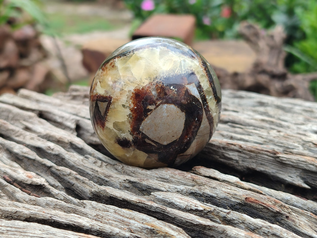 Polished Septerye Spheres x 6 From Mahajanga, Madagascar - Toprock Gemstones and Minerals 