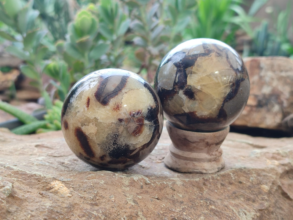 Polished Septerye Spheres x 6 From Mahajanga, Madagascar - Toprock Gemstones and Minerals 