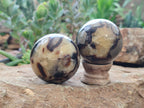 Polished Septerye Spheres x 6 From Mahajanga, Madagascar - Toprock Gemstones and Minerals 