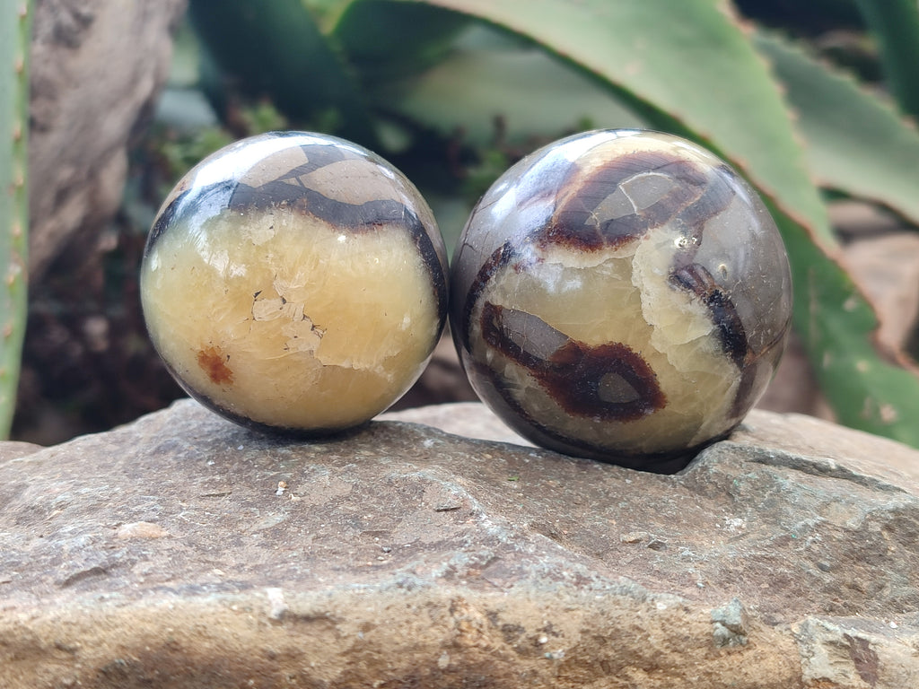 Polished Septerye Spheres x 6 From Mahajanga, Madagascar - Toprock Gemstones and Minerals 