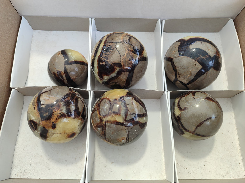 Polished Septerye Spheres x 6 From Mahajanga, Madagascar - Toprock Gemstones and Minerals 