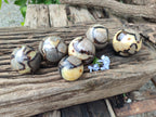 Polished Septerye Spheres x 6 From Mahajanga, Madagascar - Toprock Gemstones and Minerals 