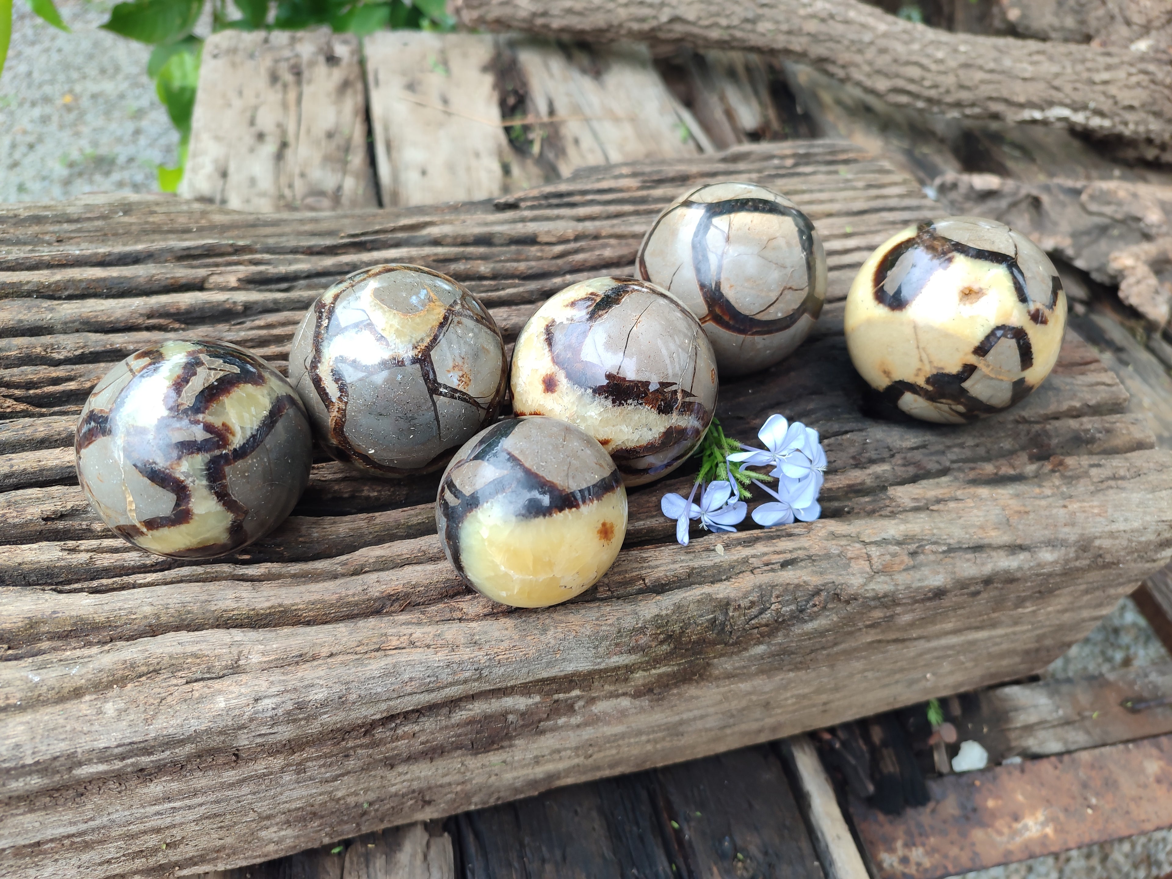Polished Septerye Spheres x 6 From Mahajanga, Madagascar - Toprock Gemstones and Minerals 