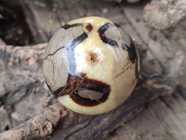 Polished Septerye Spheres x 6 From Mahajanga, Madagascar - Toprock Gemstones and Minerals 