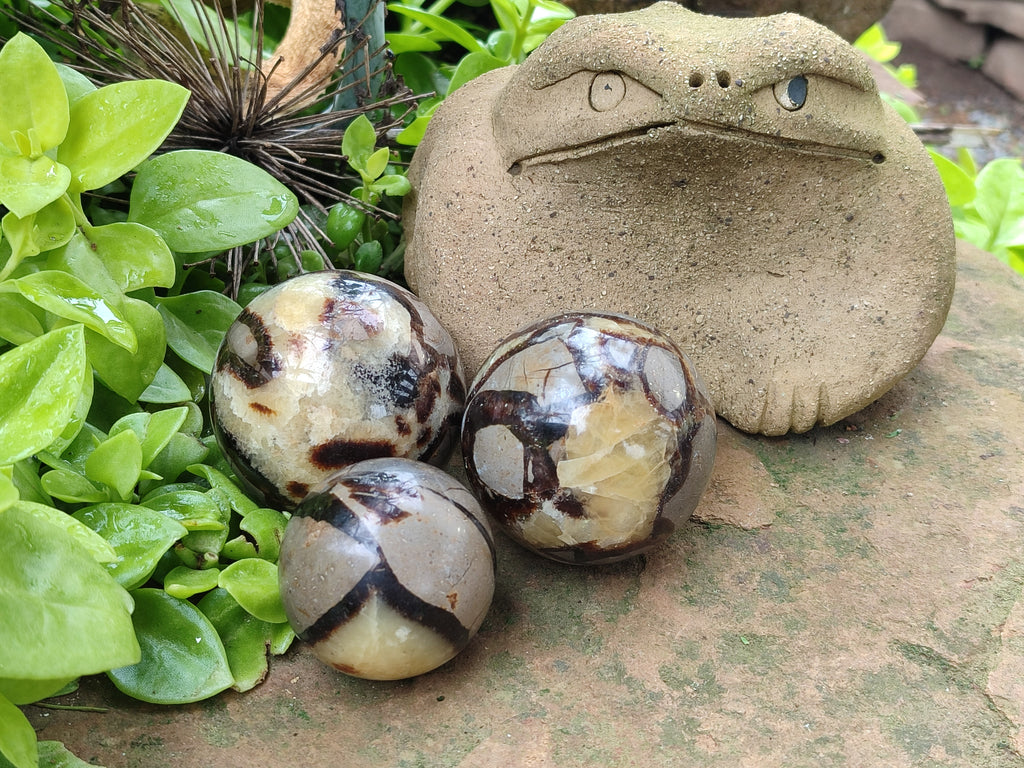 Polished Septerye Spheres x 6 From Mahajanga, Madagascar - Toprock Gemstones and Minerals 