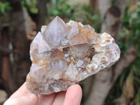 Natural Smokey and Ametrine Spirit Quartz Clusters x 6 From Boekenhouthoek, South Africa - Toprock Gemstones and Minerals 