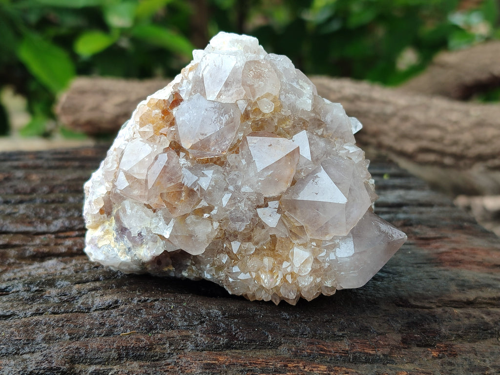 Natural Smokey and Ametrine Spirit Quartz Clusters x 6 From Boekenhouthoek, South Africa - Toprock Gemstones and Minerals 