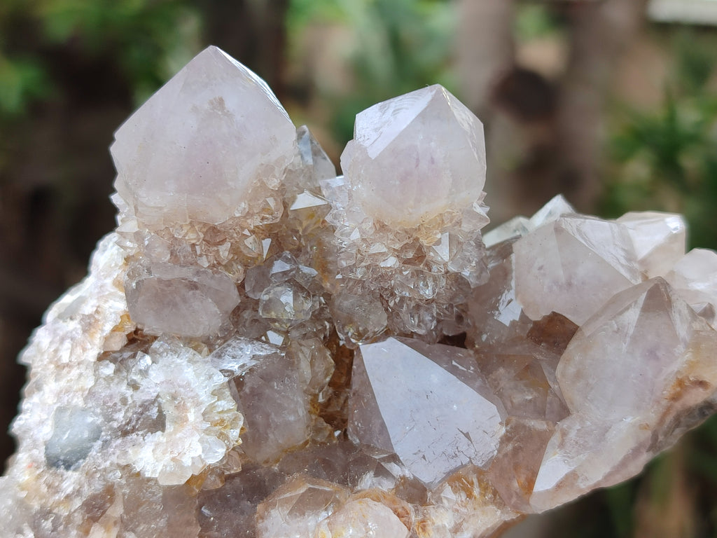 Natural Smokey and Ametrine Spirit Quartz Clusters x 6 From Boekenhouthoek, South Africa - Toprock Gemstones and Minerals 