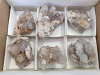Natural Smokey and Ametrine Spirit Quartz Clusters x 6 From Boekenhouthoek, South Africa - Toprock Gemstones and Minerals 