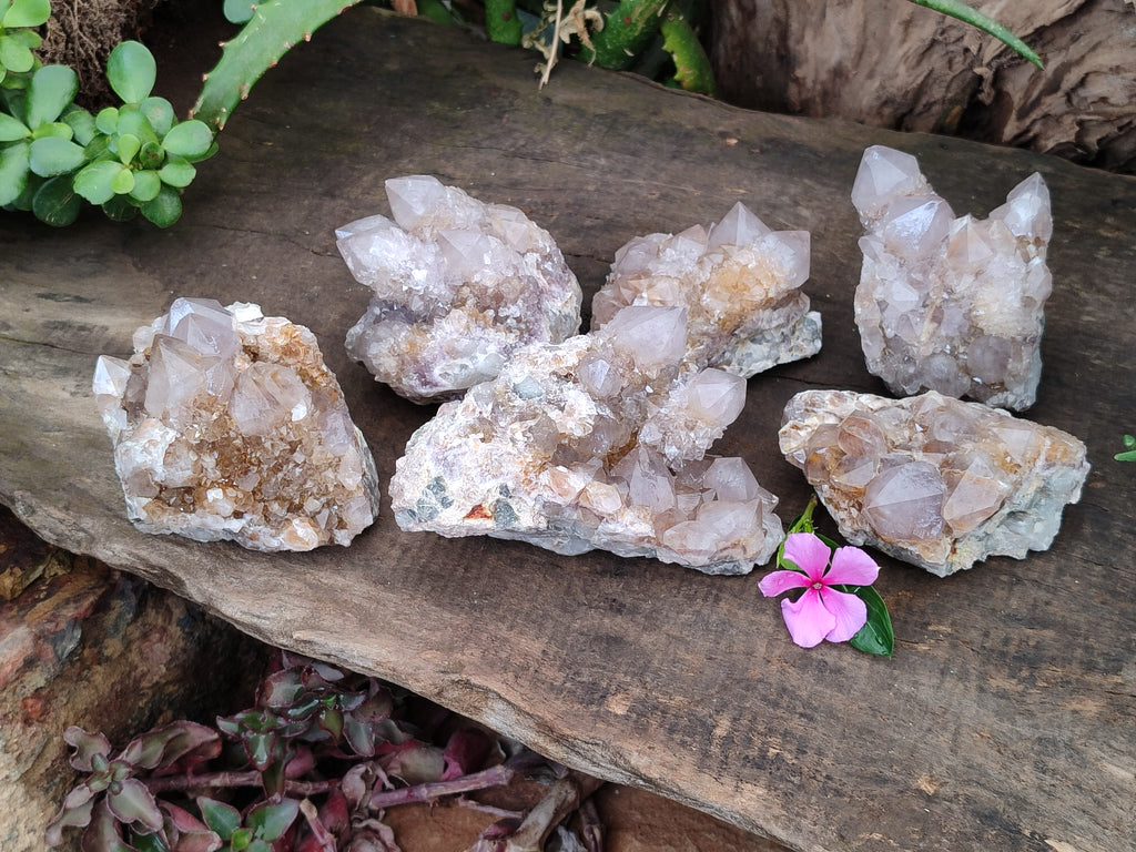 Natural Smokey and Ametrine Spirit Quartz Clusters x 6 From Boekenhouthoek, South Africa - Toprock Gemstones and Minerals 