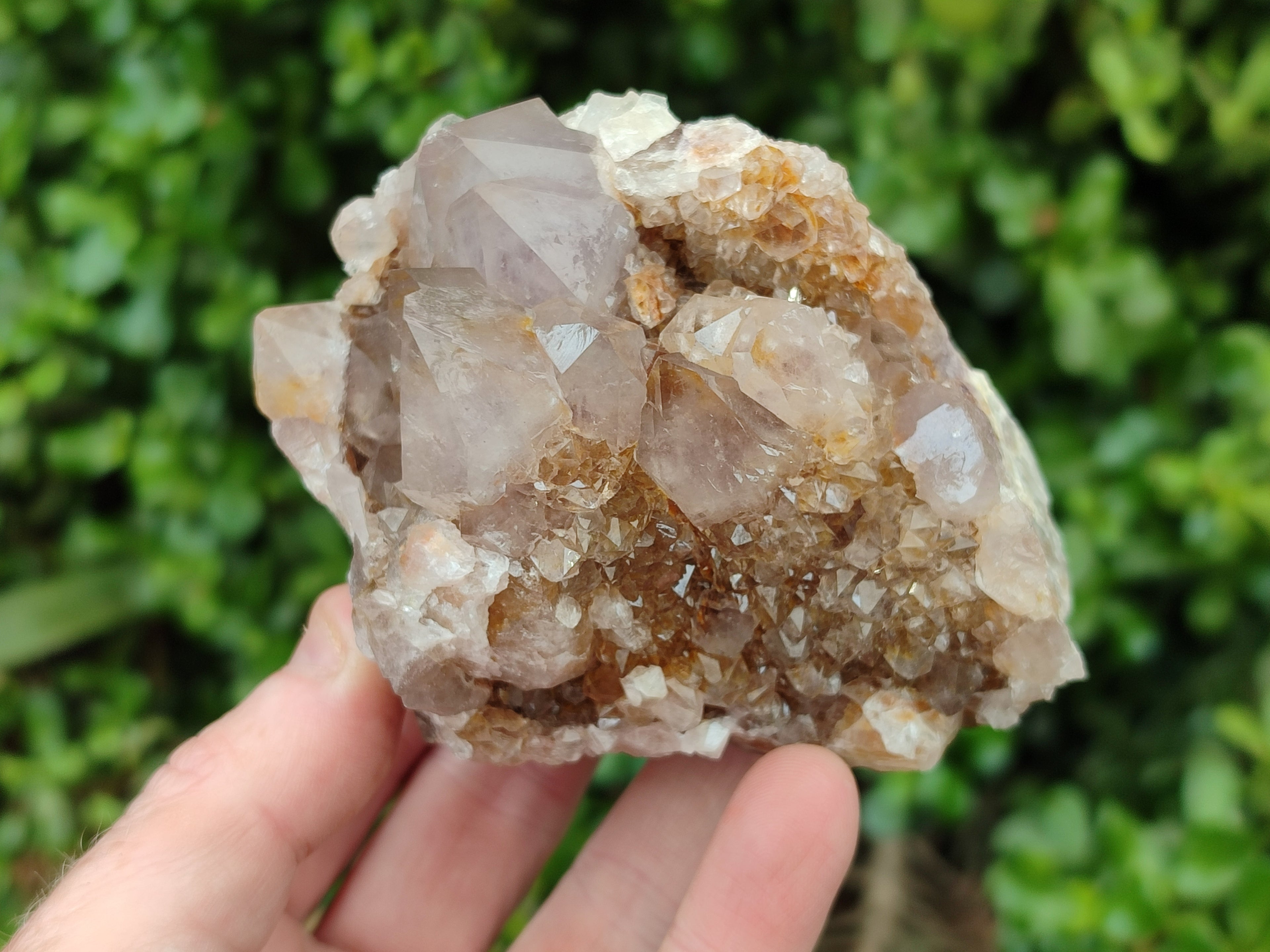 Natural Smokey and Ametrine Spirit Quartz Clusters x 6 From Boekenhouthoek, South Africa - Toprock Gemstones and Minerals 