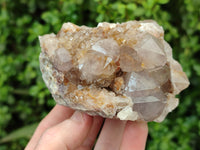 Natural Smokey and Ametrine Spirit Quartz Clusters x 6 From Boekenhouthoek, South Africa - Toprock Gemstones and Minerals 