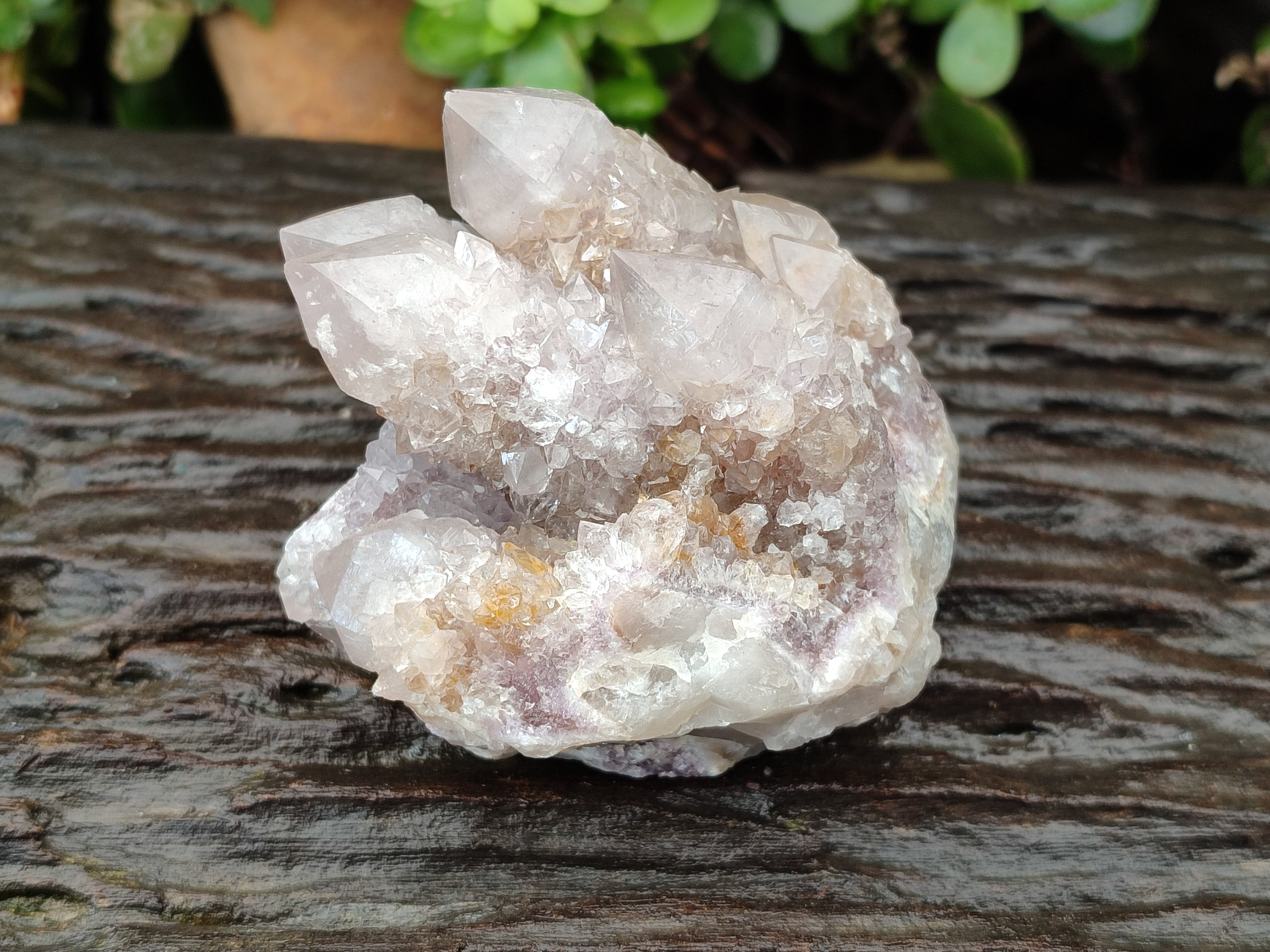 Natural Smokey and Ametrine Spirit Quartz Clusters x 6 From Boekenhouthoek, South Africa - Toprock Gemstones and Minerals 