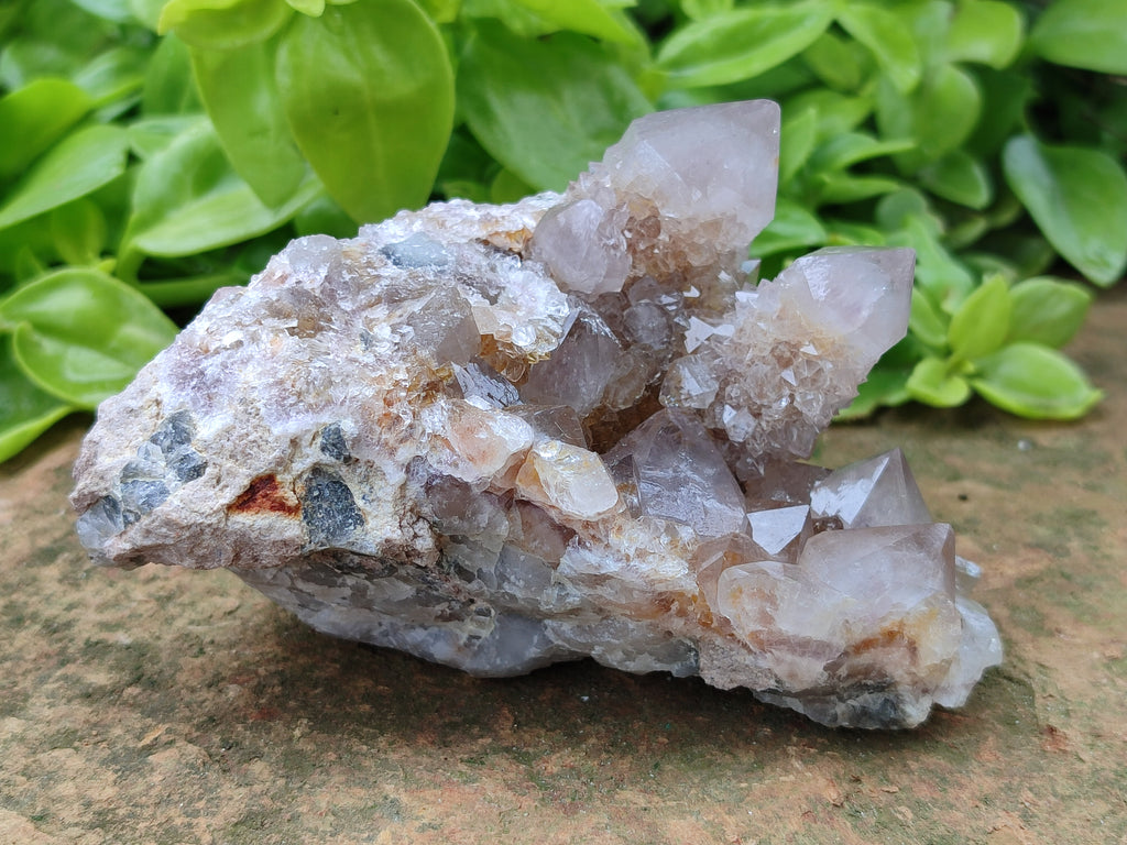 Natural Smokey and Ametrine Spirit Quartz Clusters x 6 From Boekenhouthoek, South Africa - Toprock Gemstones and Minerals 