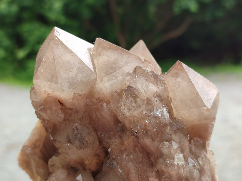Natural Smokey Phantom Quartz Clusters x 2 From Luena, Congo - Toprock Gemstones and Minerals 