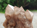 Natural Smokey Phantom Quartz Clusters x 2 From Luena, Congo - Toprock Gemstones and Minerals 