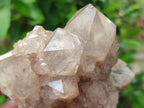 Natural Smokey Phantom Quartz Clusters x 2 From Luena, Congo - Toprock Gemstones and Minerals 