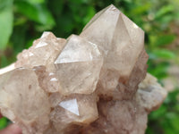 Natural Smokey Phantom Quartz Clusters x 2 From Luena, Congo - Toprock Gemstones and Minerals 