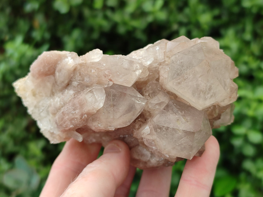 Natural Smokey Phantom Quartz Clusters x 2 From Luena, Congo - Toprock Gemstones and Minerals 