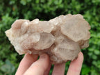 Natural Smokey Phantom Quartz Clusters x 2 From Luena, Congo - Toprock Gemstones and Minerals 