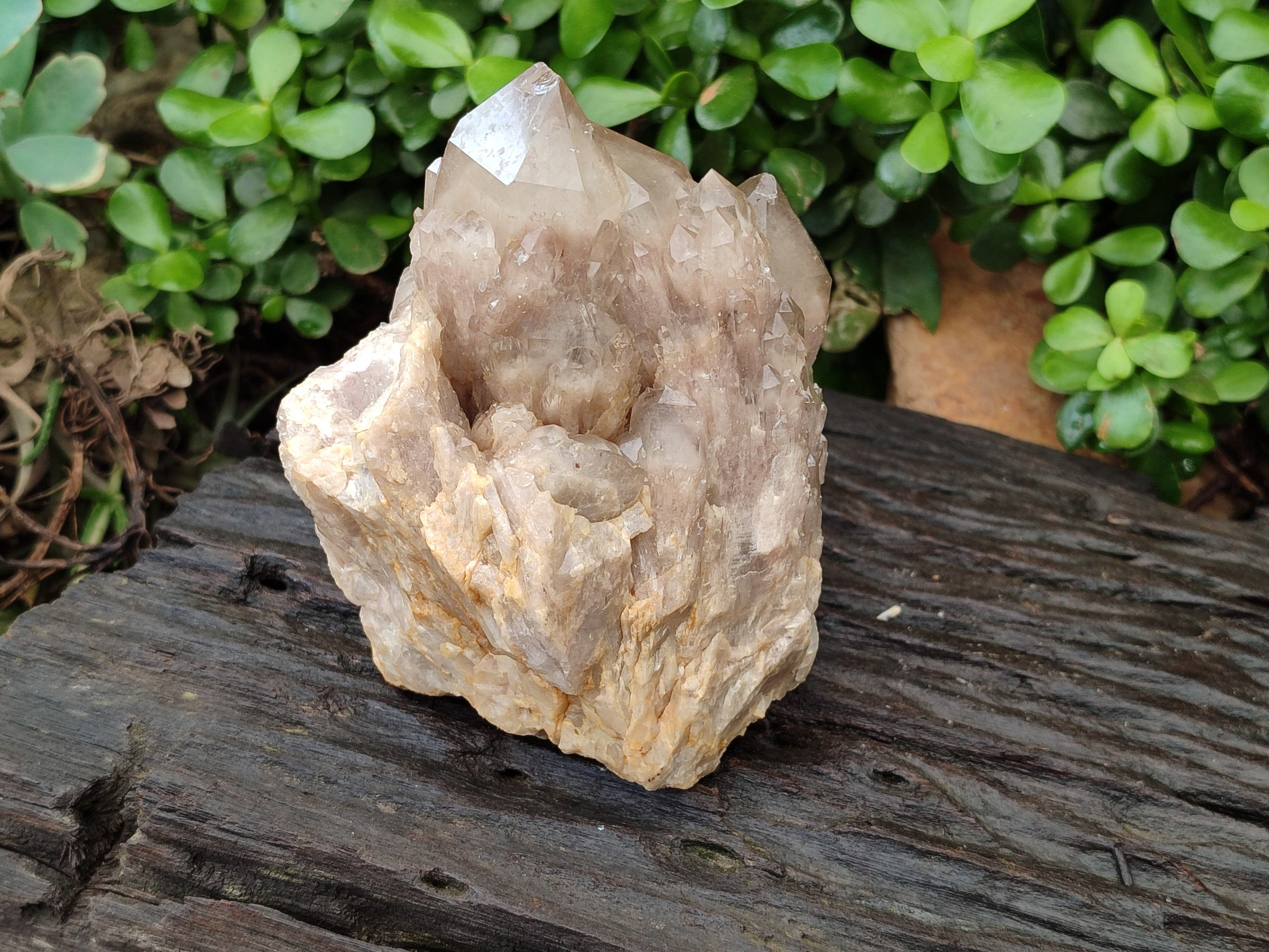 Natural Smokey Phantom Quartz Clusters x 2 From Luena, Congo - Toprock Gemstones and Minerals 