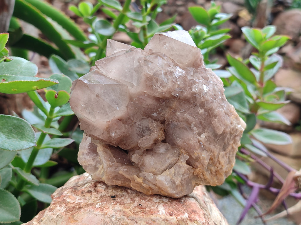 Natural Smokey Phantom Quartz Clusters x 2 From Luena, Congo - Toprock Gemstones and Minerals 