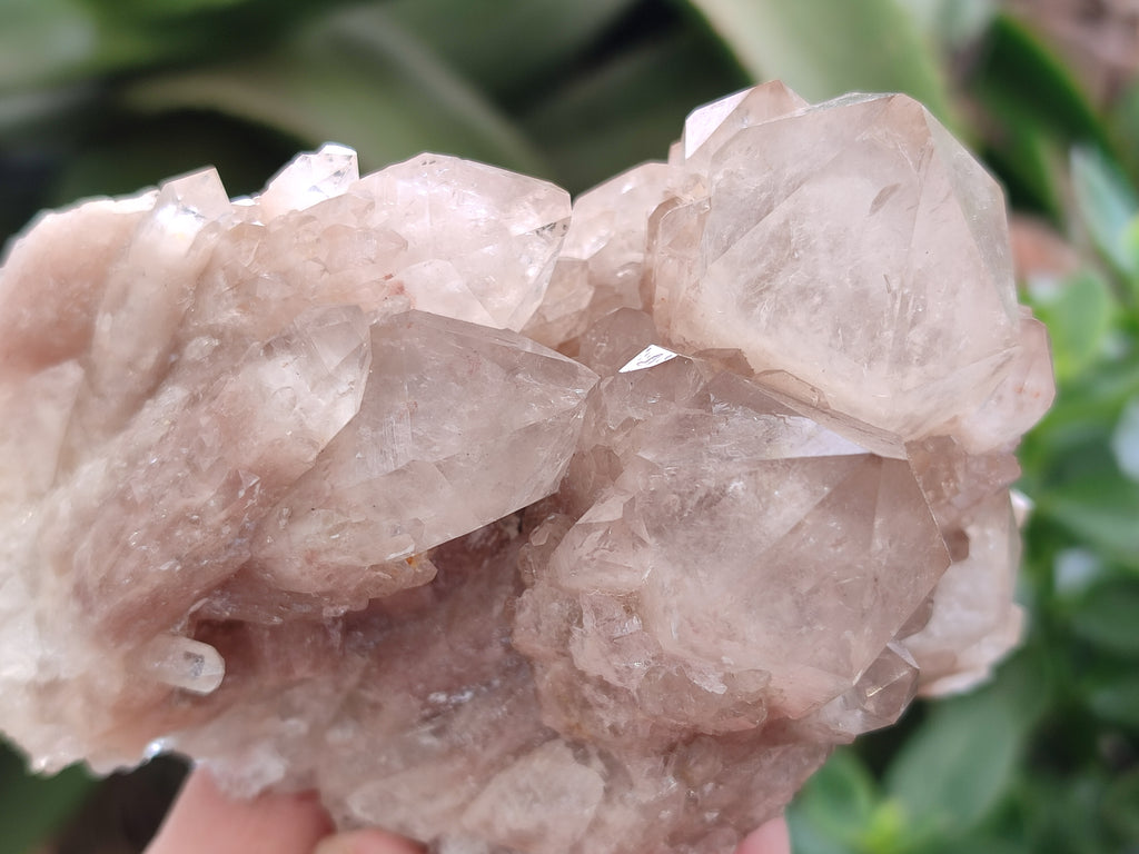 Natural Smokey Phantom Quartz Clusters x 2 From Luena, Congo - Toprock Gemstones and Minerals 
