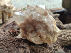 Natural Smokey Phantom Quartz Clusters x 2 From Luena, Congo - Toprock Gemstones and Minerals 